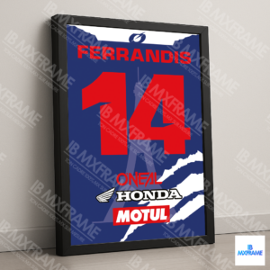 Dylan FERRANDIS SX PARIS 2024 #14